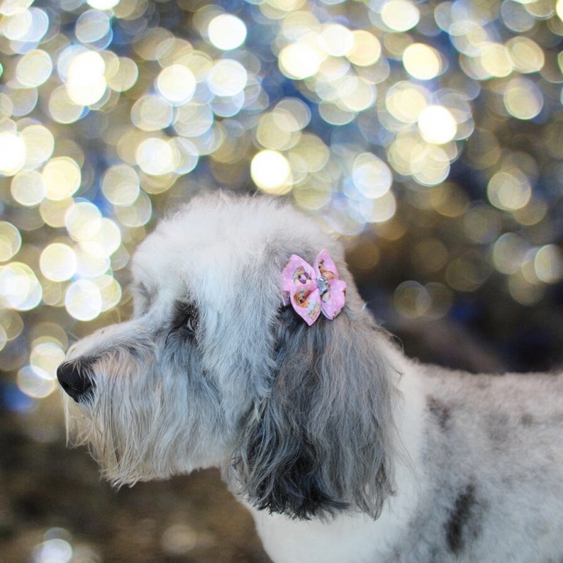 May include: A gray and white dog with a pink bow in its hair. The bow is decorated with a pattern. The background is blurred with bokeh lights.