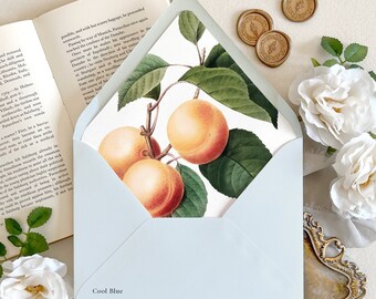 Southern Georgia Peach Wedding Envelope Liner | Vintage botanical illustration Euro Flap Envelope, A7 for 5x7 Invitations (alt sizes avail.)