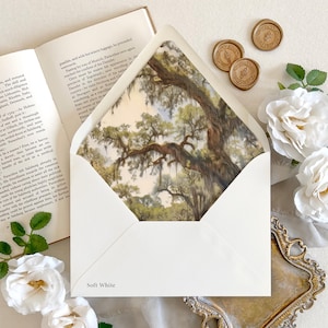 May include: A soft white envelope with a landscape painting inside, next to an open book and white roses. The envelope has the words "Soft White" printed on it. Gold wax seals and a decorative tray are also present.