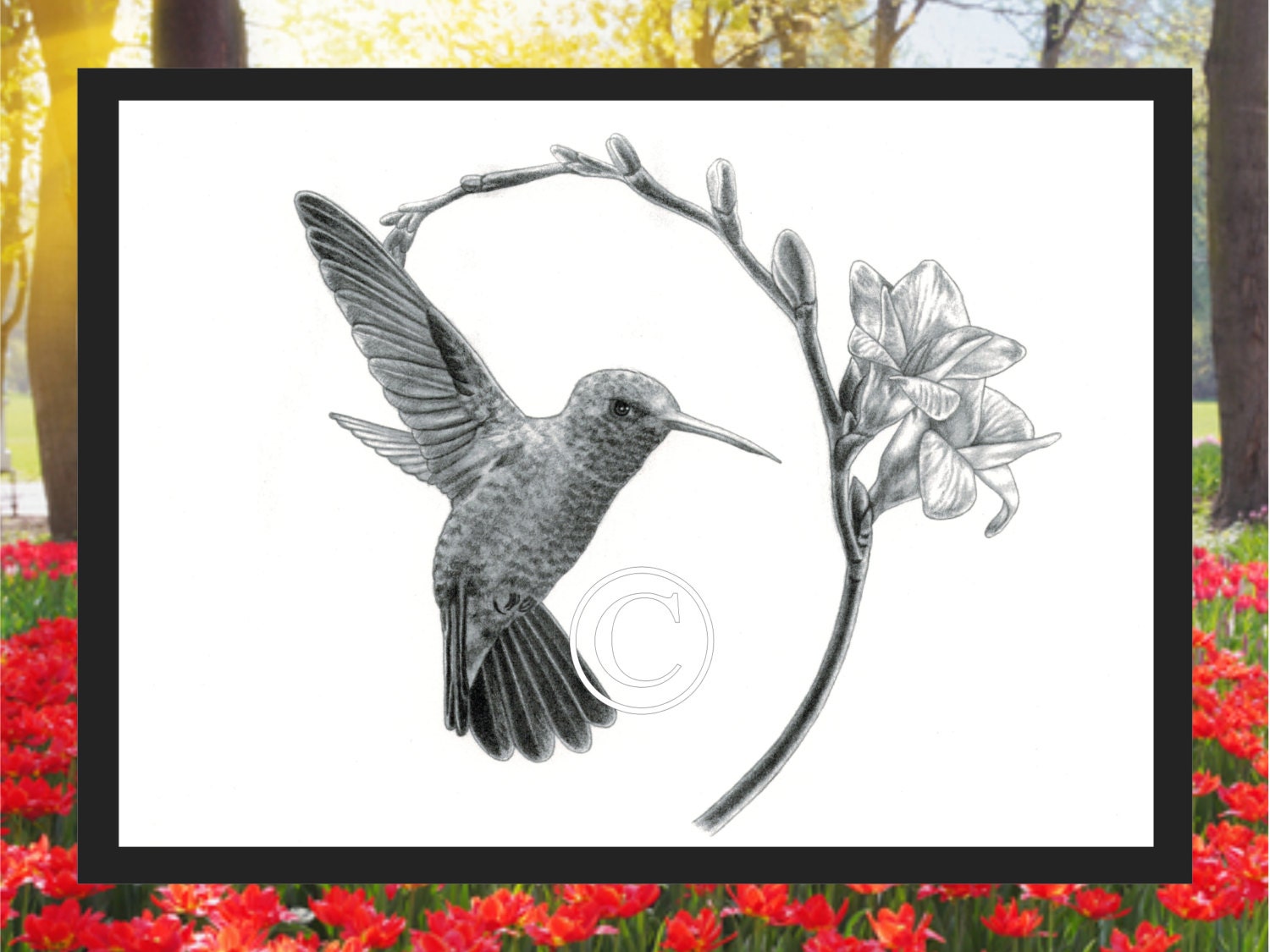 Hummingbird Print | Etsy