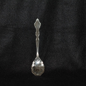 International Silver (Deepsilver) 1965 Shell Sugar Spoon &quot;Wakefield&quot;