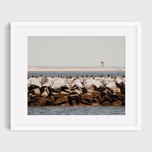 Race Point | Provincetown, Massachusetts | Cape Cod Art Photography | Minimal Wall Decor | Coastal Print