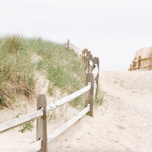 May include: A white wooden fence with three rails runs along a sandy path leading to a grassy dune. The path is bordered by tall, green grasses.
