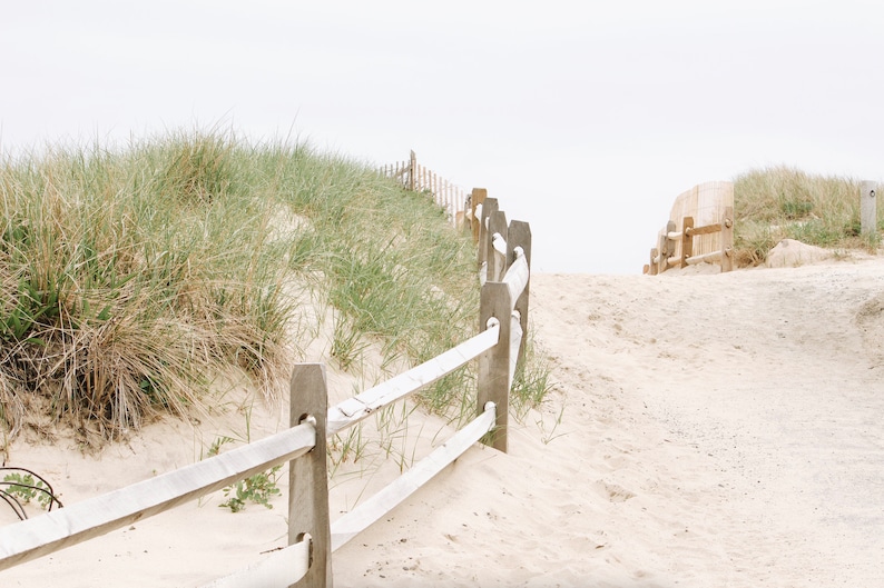 May include: A white wooden fence with three rails runs along a sandy path leading to a grassy dune. The path is bordered by tall, green grasses.