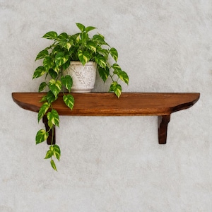 May include: A dark brown wooden wall shelf with curved edges and two support brackets. A white ceramic pot with a subtle leaf pattern sits on the shelf, containing a trailing pothos plant with variegated green and yellow heart-shaped leaves.
