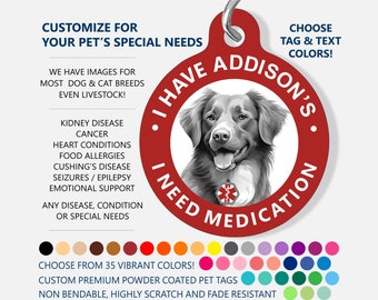 Medical ID Dog Tag - CUSTOM - I Have Addison's Disease - Medical Pet Id Tag, Medical Alert Tag, Nova Scotia Duck Tolling Retriever Dog NSDTR