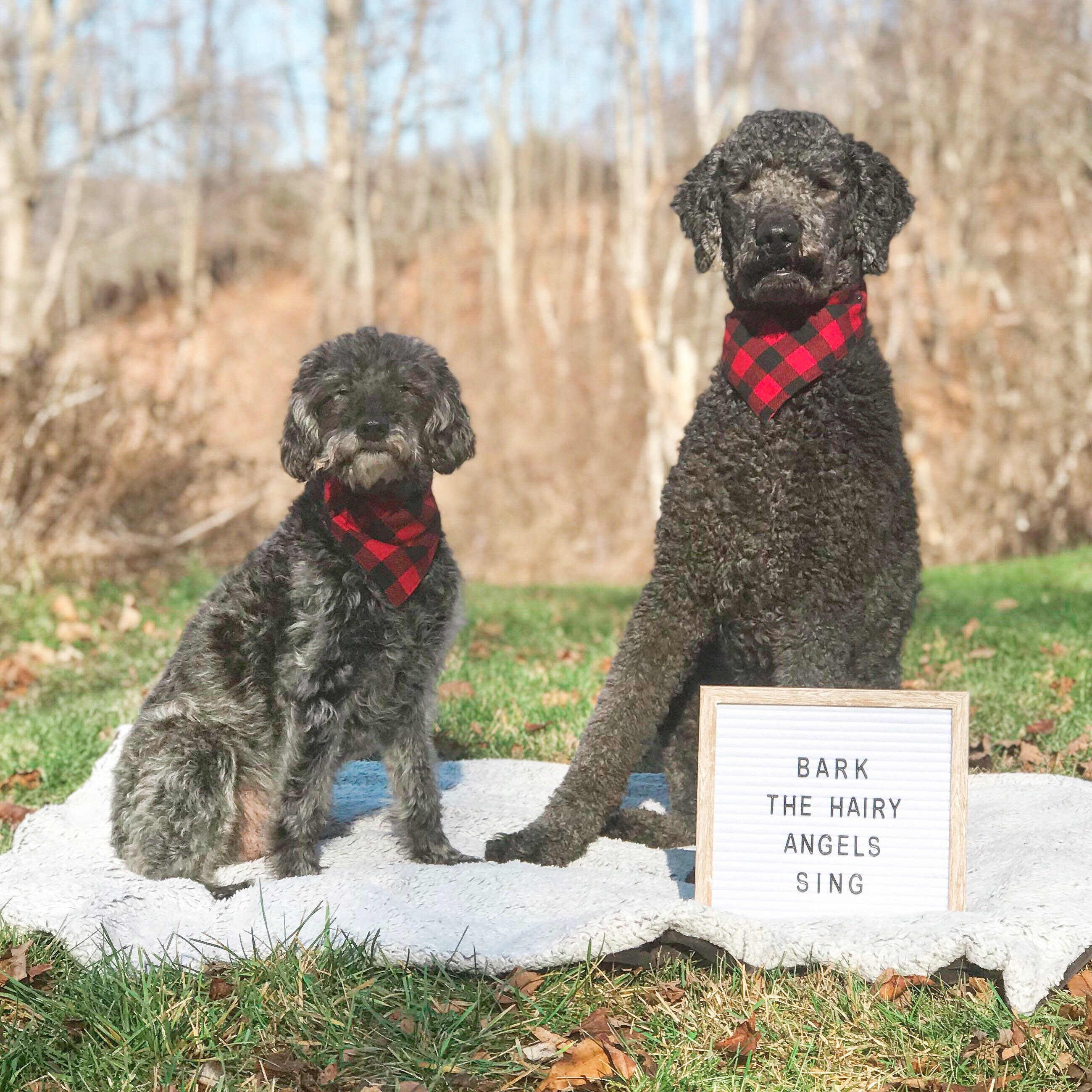 Rot karierte Krawatte Auf Hund Bandana Etsy