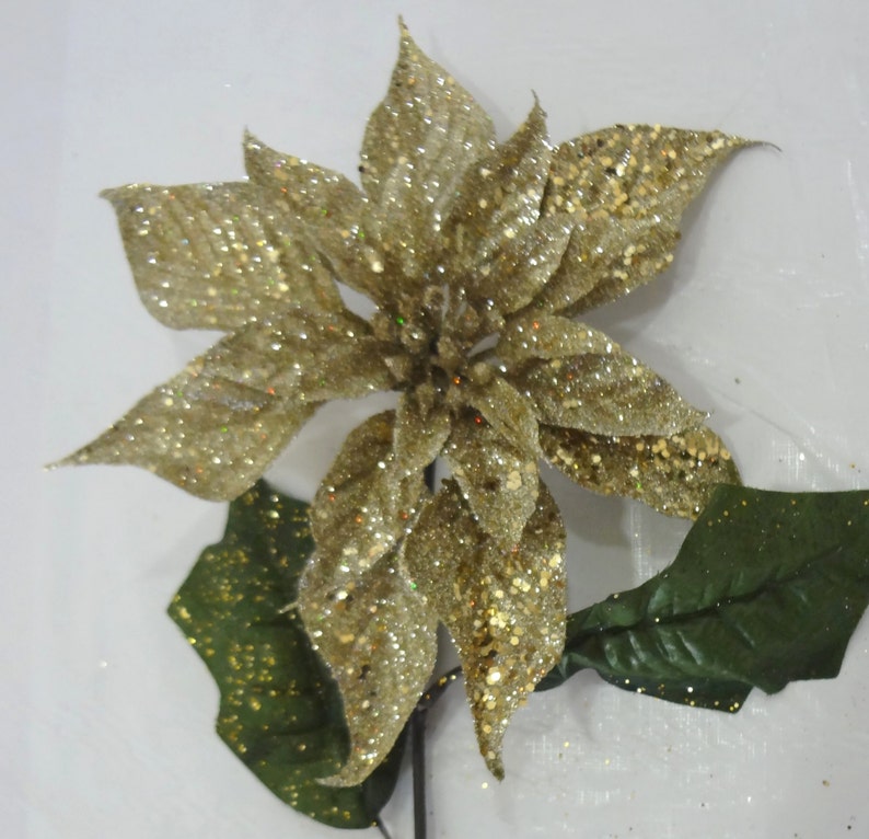 25 Champagne Christmas Poinsettia Spray Pack of 12 | Etsy