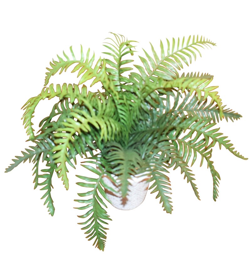15 Real Touch Fern Plant in White Pot Etsy