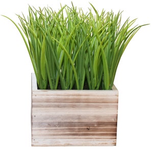 9.5" Faux Grass Plant in Shabby White Washed Wood Planter