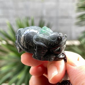 Könnte beinhalten: Eine geschnitzte Jade-Schildkrötenfigur, überwiegend dunkelgrün mit einem helleren grünen Akzent auf dem Kopf. Die Schildkröte ist detailliert mit geschnitzten Merkmalen und einer glatten, polierten Oberfläche. Die Figur wird an einer Schnur gehalten.