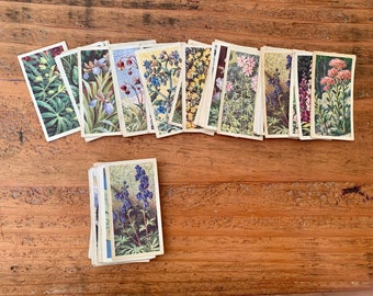 Vintage, Brooke Bond Tea, Wild Flowers, Series 3, Illustrated by, C.F. Tunnicliffe, Collectible, Cards, Gift, Father, Mother, Wife, Husband