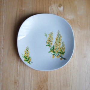 Schöne, Vintage, Blumen, goldene Kette, J & G Meakin, England, Seite Teller, Englisch, Porzellan, 1950er Jahre, Wohnkultur, Küche, Esszimmer, Mutter