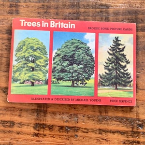 Vintage, Brooke Bond, Trees In Britain, An Album Of Collectible, Tea, Cards, Full Set, Brooke Bond, Wildlife, Woodland, Woods, Retro, Gift
