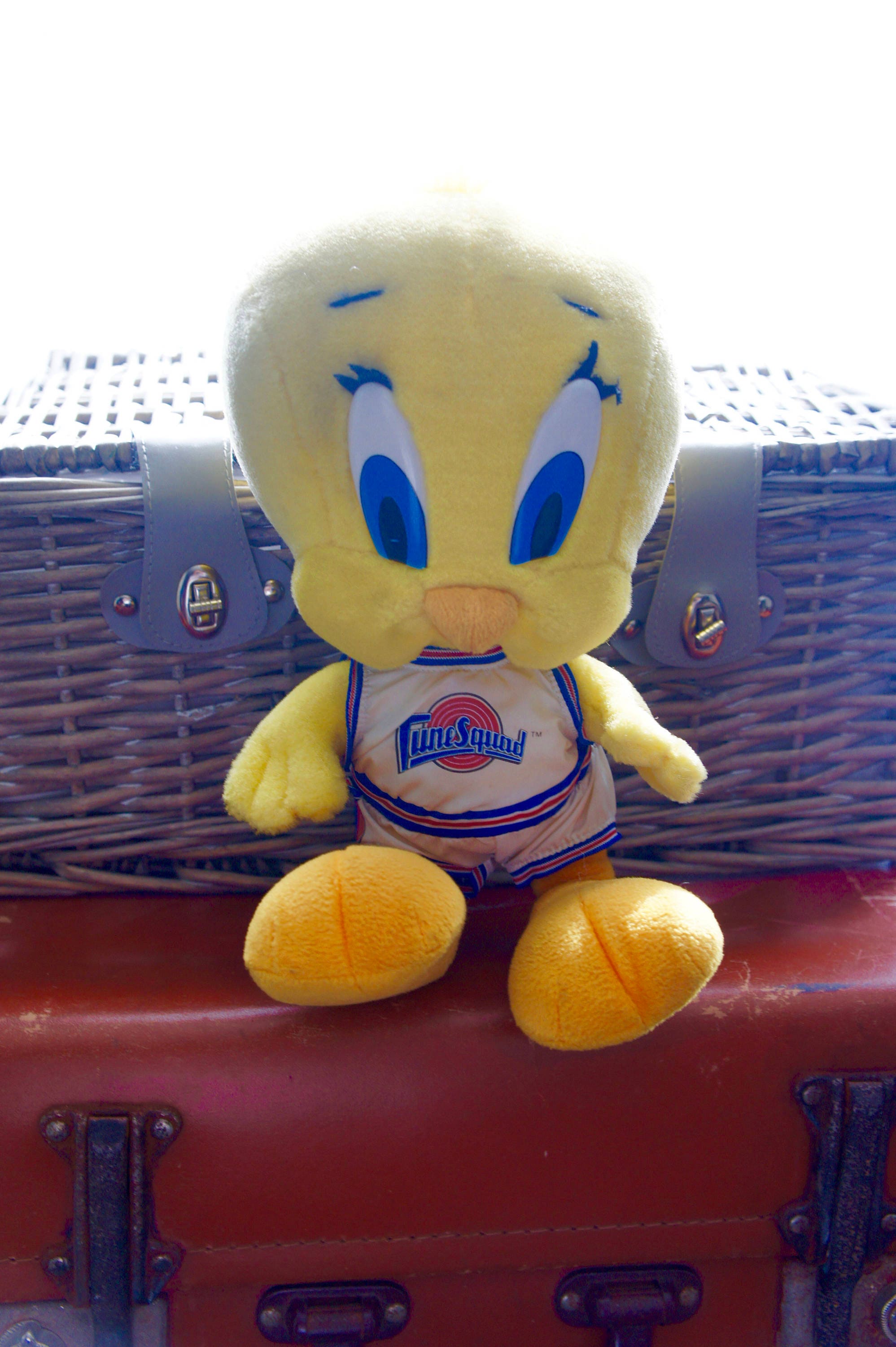 Rare Vintage 1996 Collectible Looney Tunes Space Jam Basketball