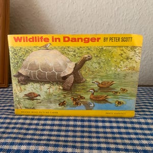 Vintage, Brooke Bond, Fotokarten, Wildtiere in Gefahr, Peter Scott, unvollständiges Set, Album, Sammlerstück, Tee, Karten, komplettes Set, Geschenk, Dad