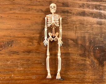 Handmade, 1:12th Scale, Dolls House, Miniature, Aged, Human, Skeleton Halloween, Science, Display, Doctor&#39;s, Hospital, Class Room, Halloween