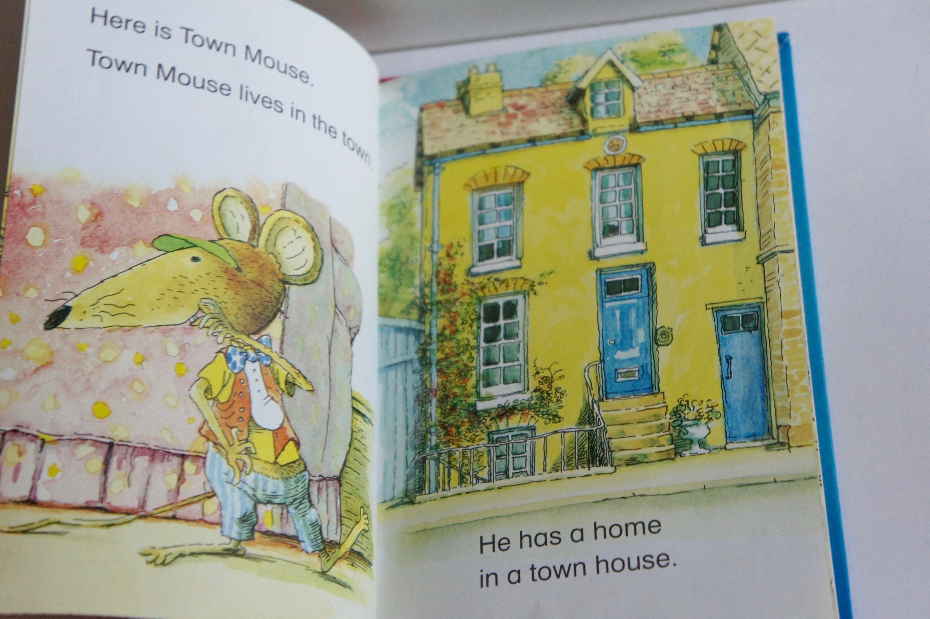 Vintage, 1990s, Ladybird, Read It Yourself, Town Mouse and Vintage, 1990s, Ladybird, Read It Yourself, Town Mouse and