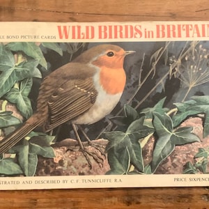 Vintage, Brooke Bond, Tarjetas ilustradas, Aves silvestres en Gran Bretaña, Completo, Álbum, Coleccionable, Té, Tarjetas, Conjunto completo, Brooke Bond, Consejos PG, Tés