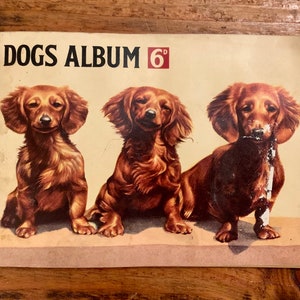 Vintage, Hornimans, Picture Cards, Dogs, Album, Book, Collectible, Tea, Cards, Retro, Pets, Prop, Display, Childhood, Gift, Present, Wife