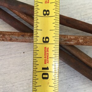 Large Nails Rusty Iron Pole Barn Nails Salvaged Hardware Metal Hooks Old Nails - Etsy