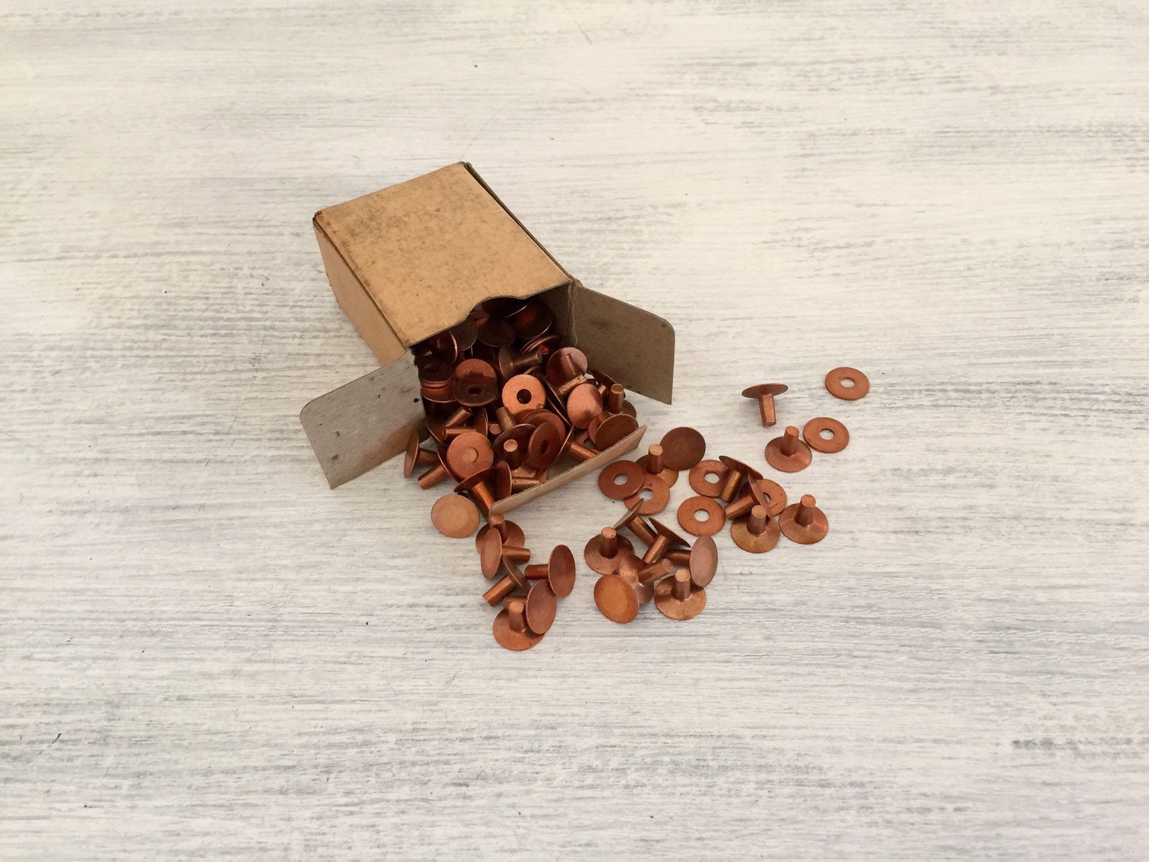 Copper Rivets and Burr 12 10 Pack 4 Sizes T4-6-8 