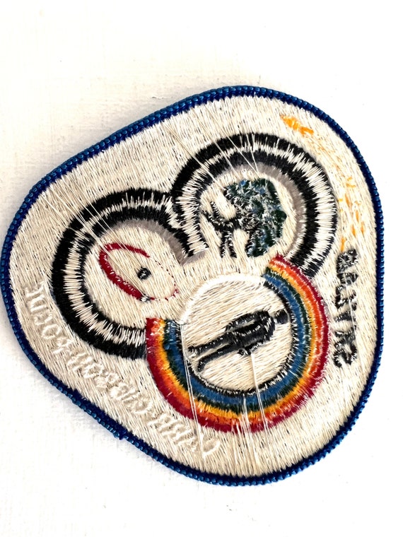Skylab  Patch,  Vintage Space Sew on Patch Carr G… - image 7