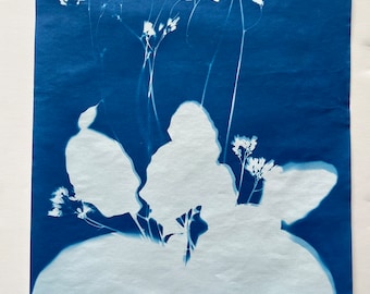 Original Botanical Art Cyanotype Print - Flower Cyanotype Print - Azules