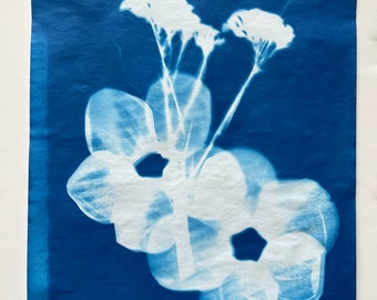 Original Botanical Art Cyanotype Print - Flower Cyanotype Print - Azul y Blanco