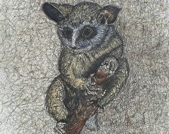 Bush Baby - Etsy UK Bush Baby - Etsy UK