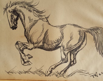 Equestrian Original Ink Drawing Signed By The Artist T. Wey