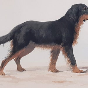 Hovawart German Working Breed Dog, Original Watercolour Painting Signed By The Artist image 4