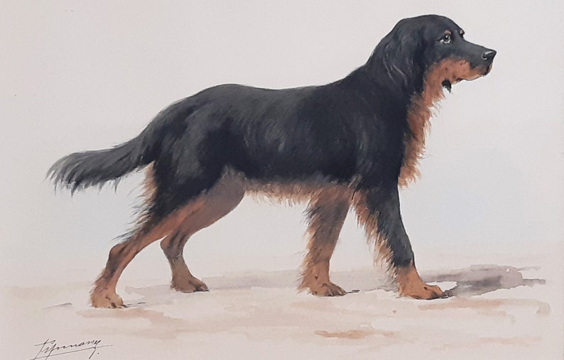 Hovawart German Working Breed Dog, Original Watercolour Painting Signed By The Artist image 4