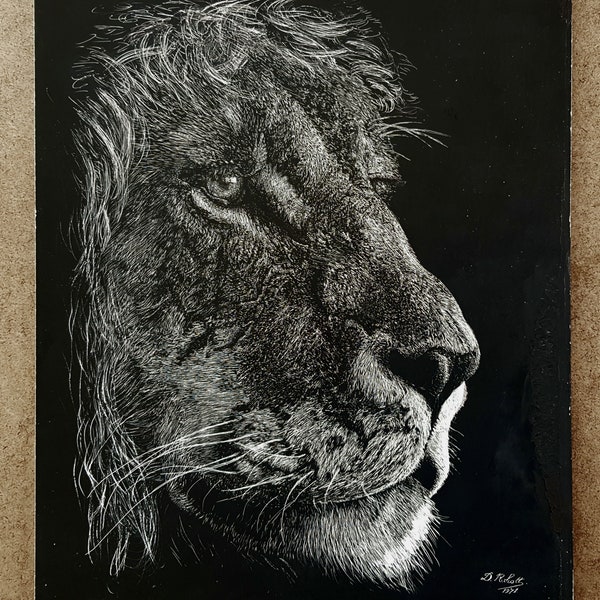 Lioness Portrait On Professional Essdee Scraperboard By D. R. Scott, Wildlife Art, Home Decor