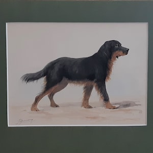 Hovawart German Working Breed Dog, Original Watercolour Painting Signed By The Artist image 5