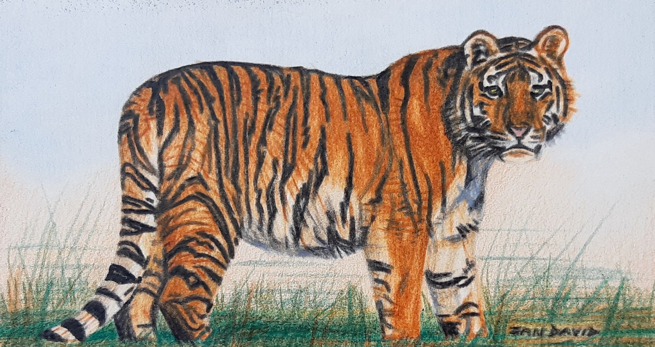 RUBI ART - Royal Bengal Tiger.... Oil painting.... | Facebook