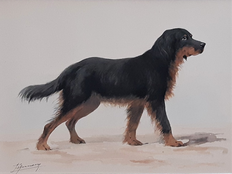 Hovawart German Working Breed Dog, Original Watercolour Painting Signed By The Artist image 2