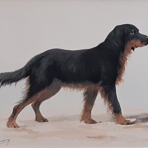 Hovawart German Working Breed Dog, Original Watercolour Painting Signed By The Artist image 7