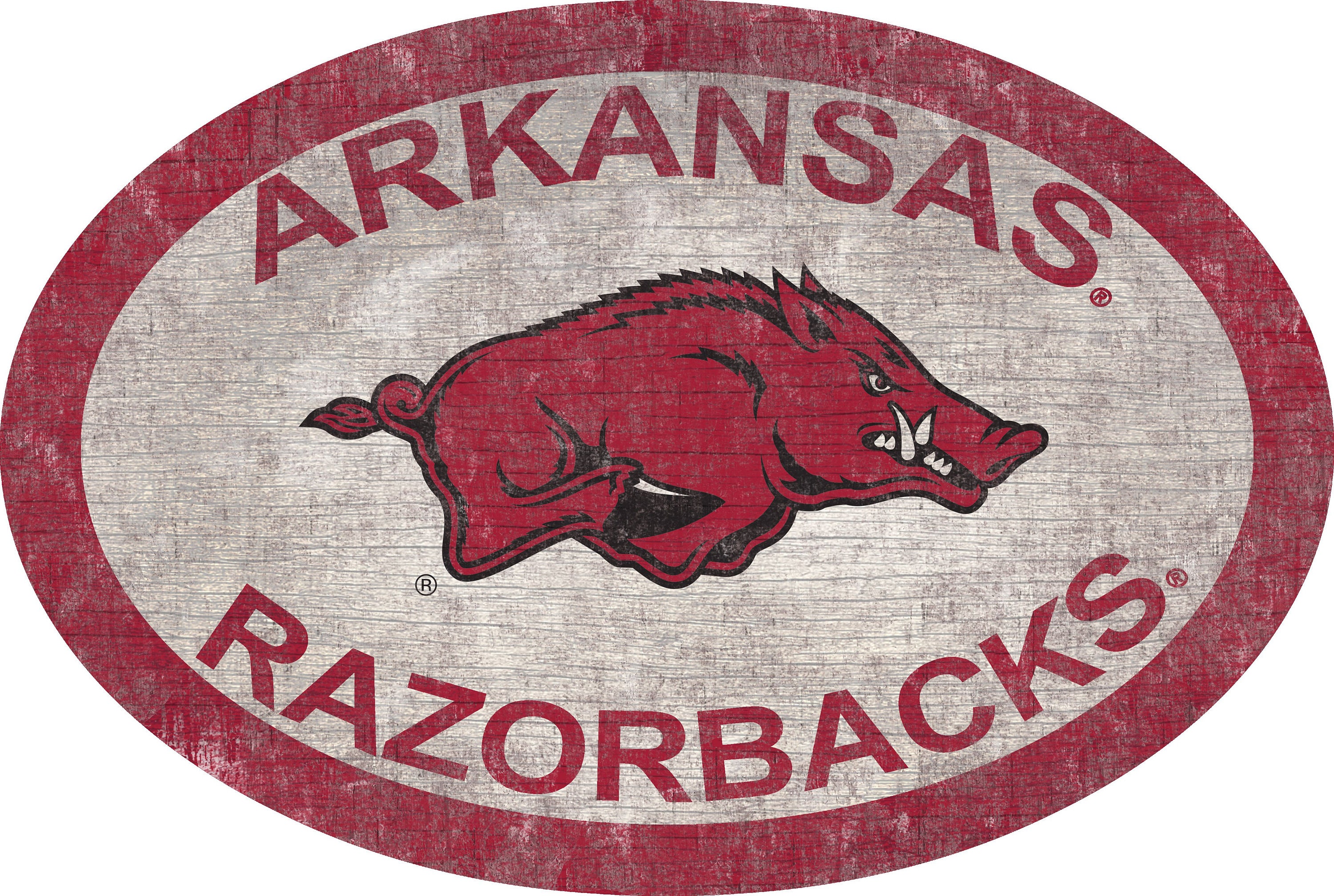 Arkansas Razorbacks Sign Wall Art 46