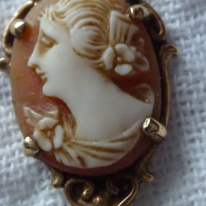 Shell carved cameo in a 14 k setting and gold chain