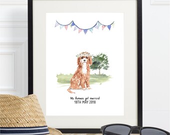 cavapoo accessories