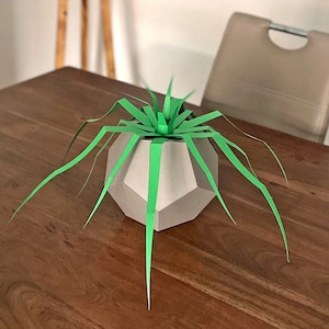 DIY Papercraft,Paper planter,Pentagon vase planter,Paper vase,Paper plants,Home decor,Desk decor,Origami plants,3d Vase,Geometrical vase