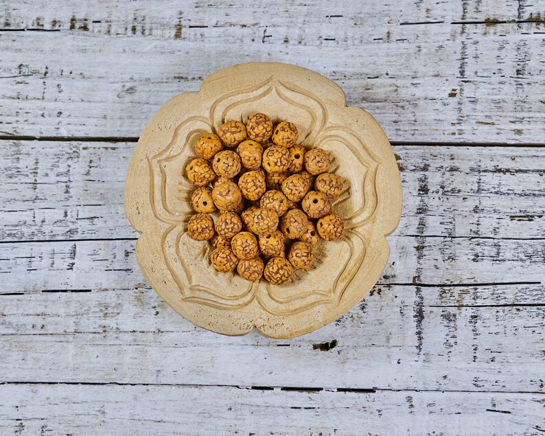 10mm Rudraksha Beads from Nepal 112ct image 1