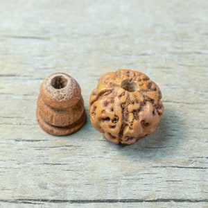 10mm Rudraksha T-drilled 3-Hole Guru Bead and Threader image 1