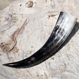 Viking drinking horn 600ml