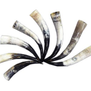 Viking drinking horn 500ml