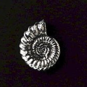 Ammonite Silver Pewter Pin Badge