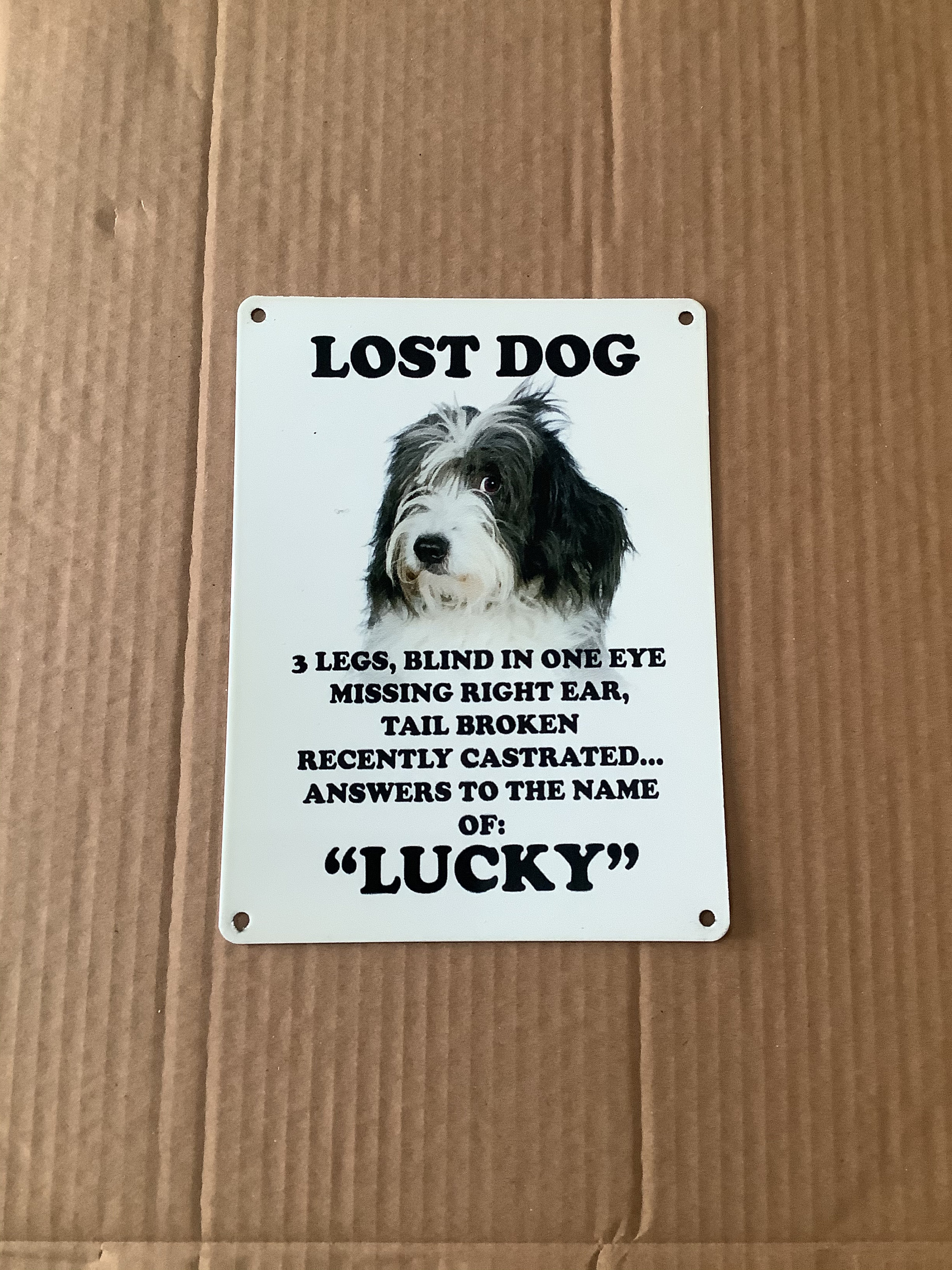 can i keep a lost dog in illinois