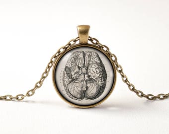 Collar anatómico del cerebro, Joyería del cerebro, Regalo para estudiante, Joyería del cerebro de biología, Joyería de ciencia, Colgante del cerebro, Collar de cerebro humano para él