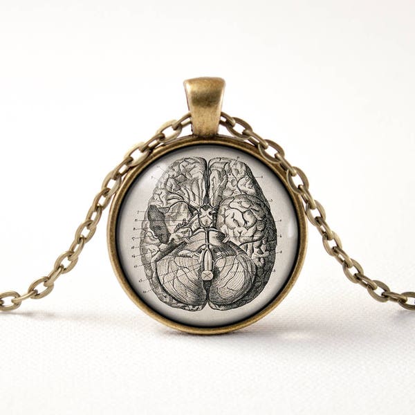 Anatomical Brain necklace Brain jewellery Gift for student Biology Brain jewelry Science jewelry Brain pendant Human brain Necklace for him